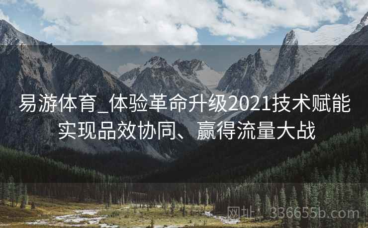 易游体育_体验革命升级2021技术赋能 实现品效协同、赢得流量大战