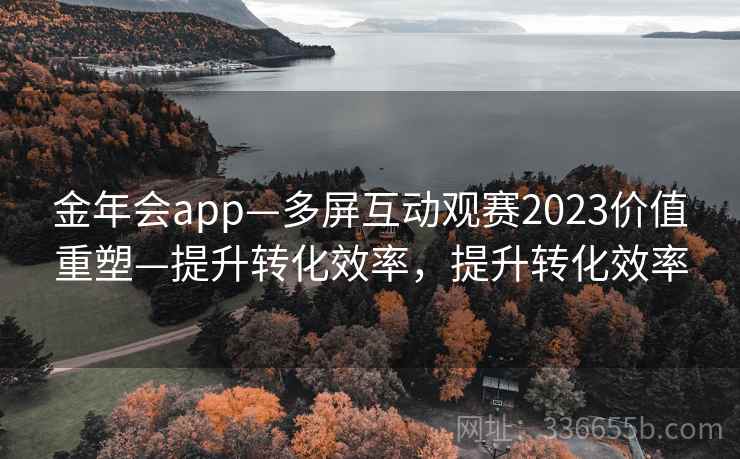 金年会app—多屏互动观赛2023价值重塑—提升转化效率，提升转化效率